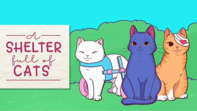 A Shelter Full of Cats Free Download